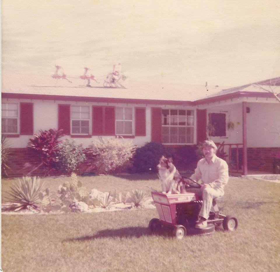 Happy Puppy Day. We miss our sheltie Peanuts, he was a fantastic dog. He loved to ride on the lawn mower and tented with us.❤️