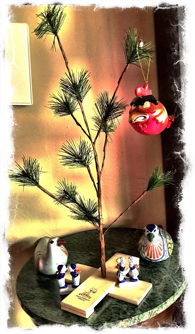 Gee.. The Charles Tree looks Very Angry !!