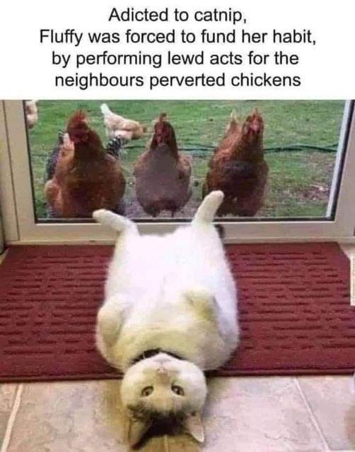 Times are tough!
