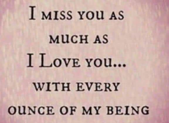 4 months. My heart hurts 💔💔 I miss my Bruce more every day! 😢😢