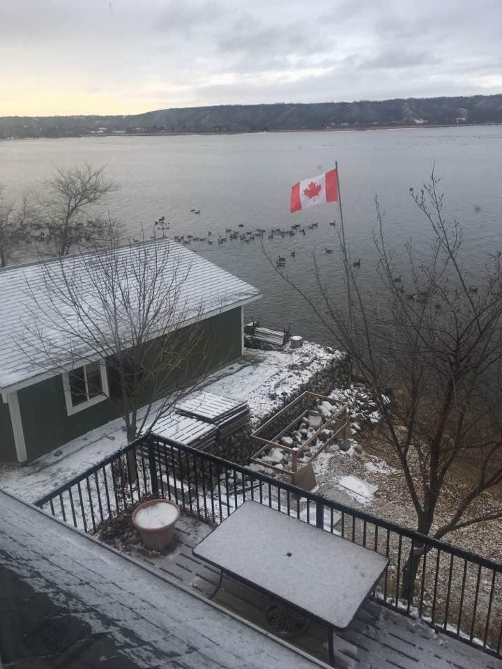Canada Geese resting at Echo Lake. The migration is on.🍁❄️