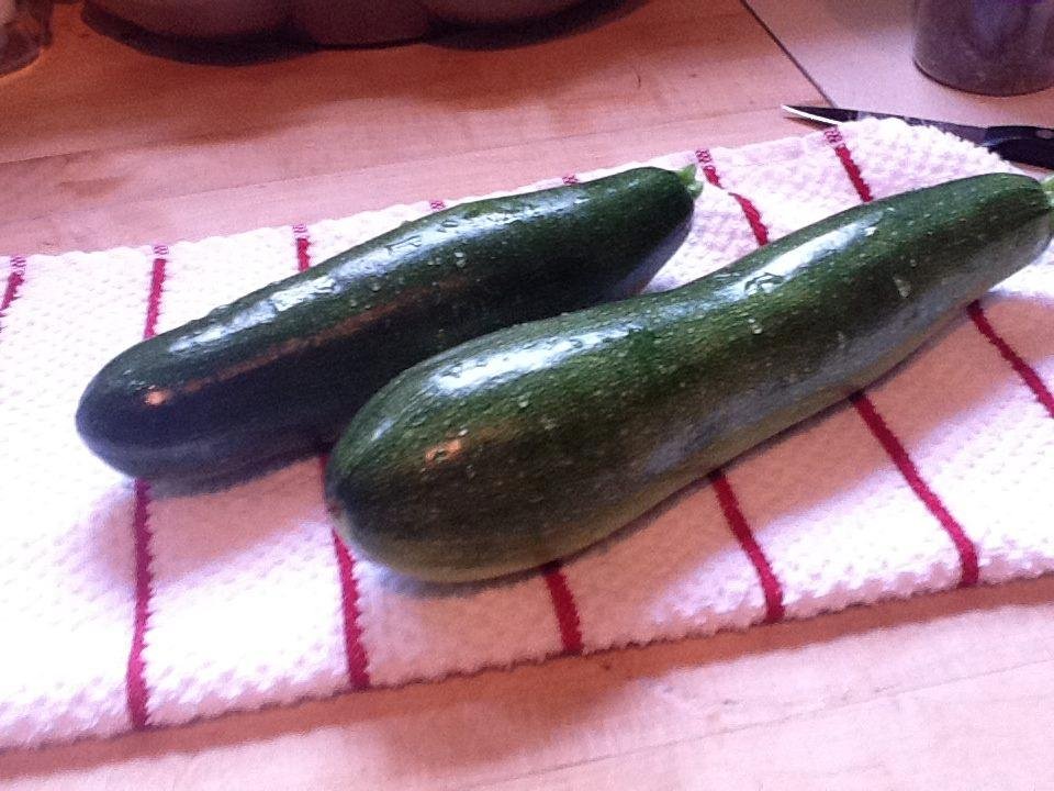 Using the bounty of our garden. The first zucchini of the season