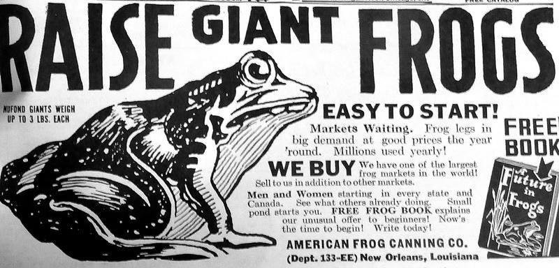 My parents were okay with me selling Little League candy, Katydids for school, even the tries at greeting cards and salve...but they drew the line when I brought them THIS ad...