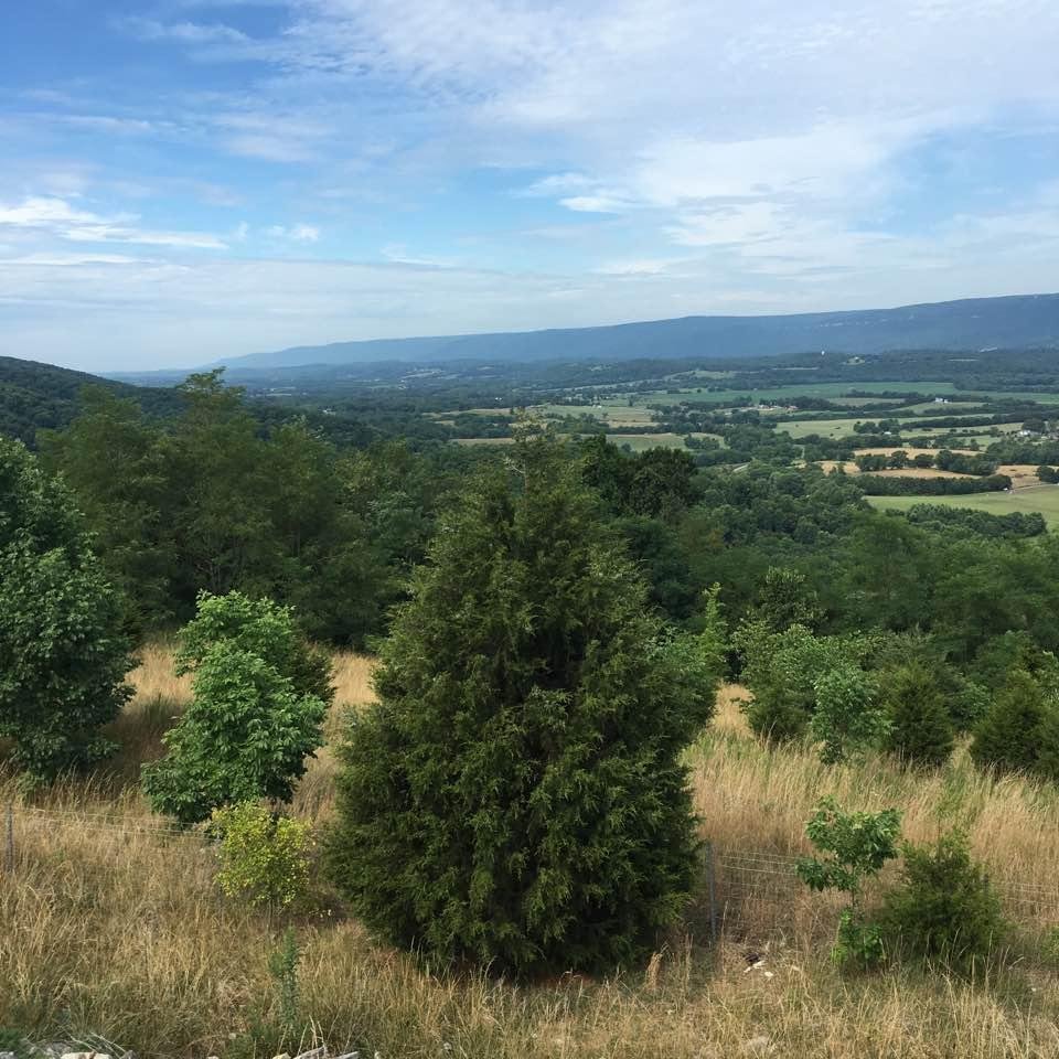 Scenic Overlook near Dunlap TN