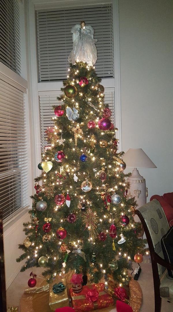 Our tree