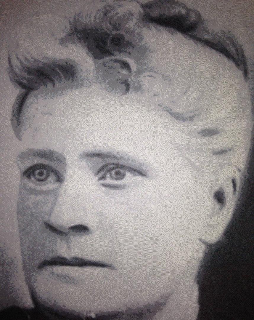 Sarah Hannah Parkhurst Dickinson:
Came to the US about 1850. She was single and traveled with her brother and sister. They settled in the New York City area, where Sarah married William Dickinson, a couple of years later. S