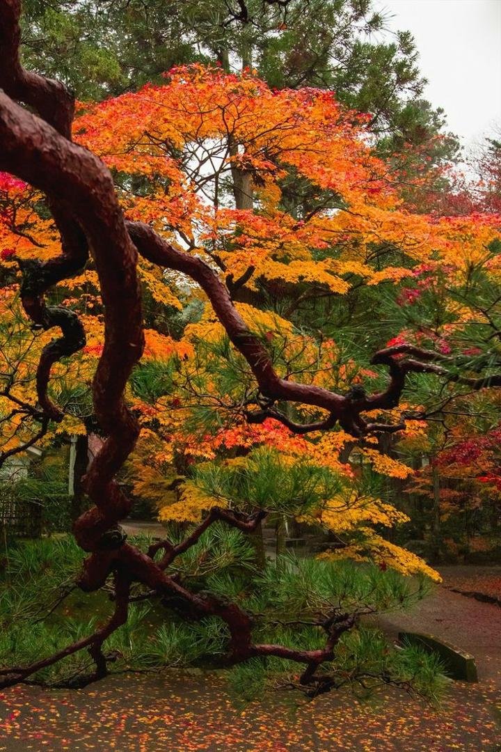 Dave White's album, Timeline Photos