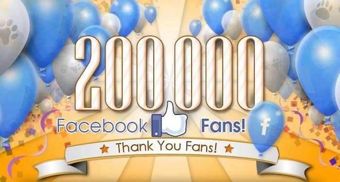 WooHoo
I just reached over 200,000 followers on my Fugitive Watch Facebook page !!!
Check it out... https://www.facebook.com/fugitivewatchtv/timeline