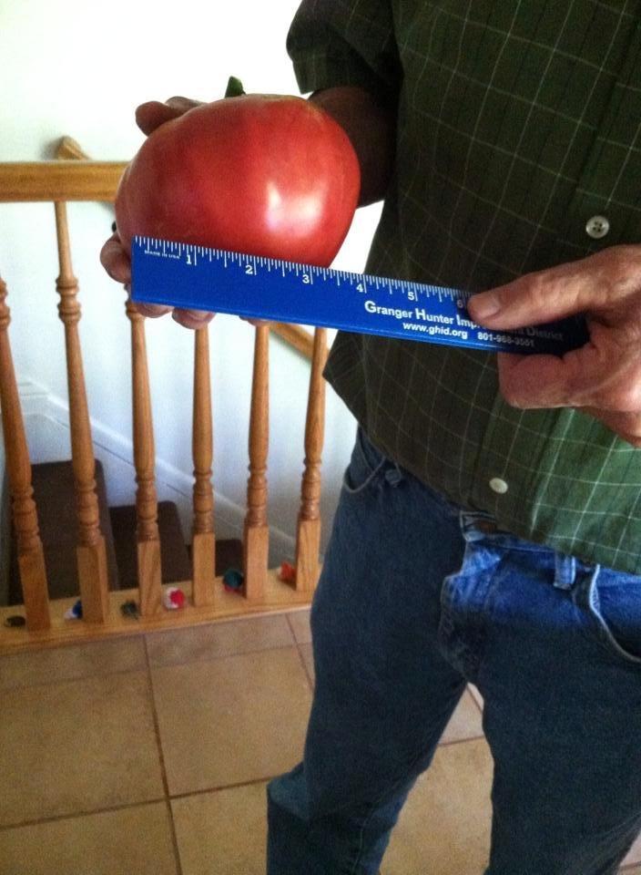 John Schroeder's album, Mobile Uploads