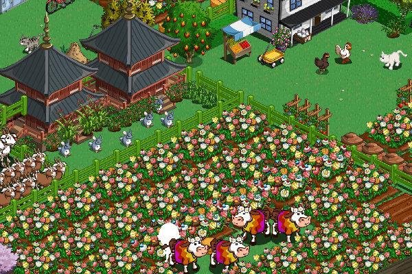 David Hoyle's album, FarmVille Photos
