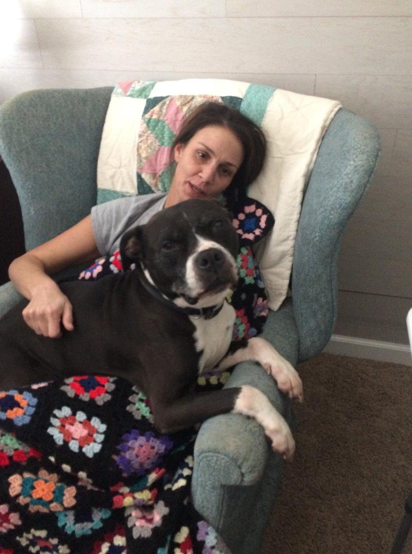 Today we truly did lose man, and woman's, best friend. Moose passed away around 1 pm this afternoon with Brian at his side. This dog was the sweetest, most loving thing. I didn't want to love him and in the beginning tha