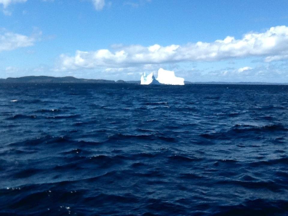 Icebergs are amazing