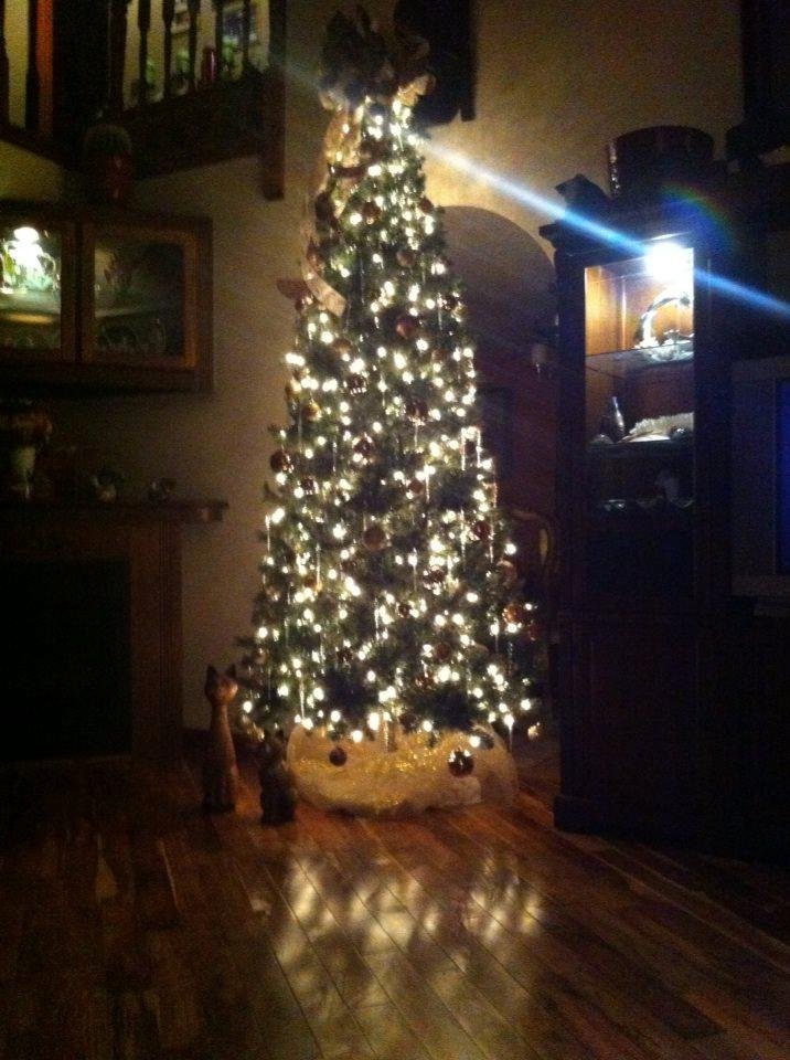 My wife is amazing ! She and I were sick with the flu and she still managed to decorate this beautiful tree .