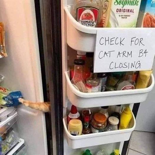 I KNOW THIS FROM EXPERIENCE,, WHEN I WAS A KID I DIDN'T SEE OUR CAT IN THE FRIDGE AND SLAMMED THE DOOR WHEN IT BOUNCED BACK I SLAMMED IT 2 MORE TIMES BEFORE I REALIZED OUR CAT WAS IN THE DOOR. I STILL REMEMBER THAT LIKE IT 