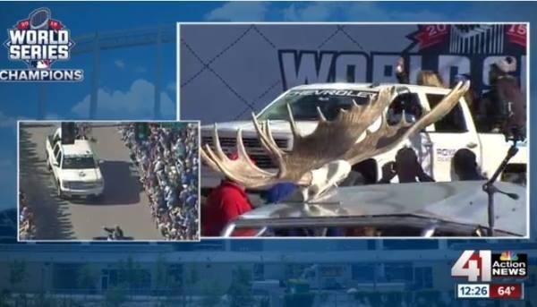 What a turnout for the Royals parade....