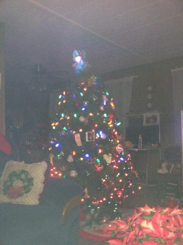 Finally got my tree decorated happy holidays