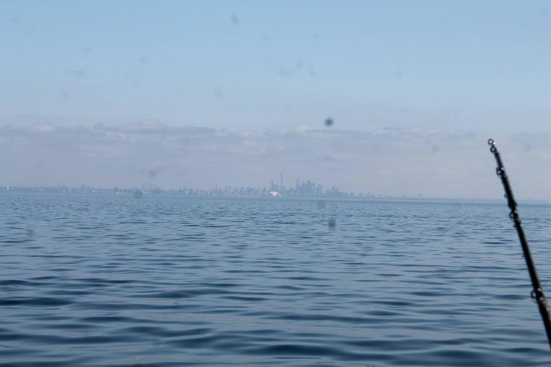 Looking back at the city of Toronto , CN Tower and Rogers Center