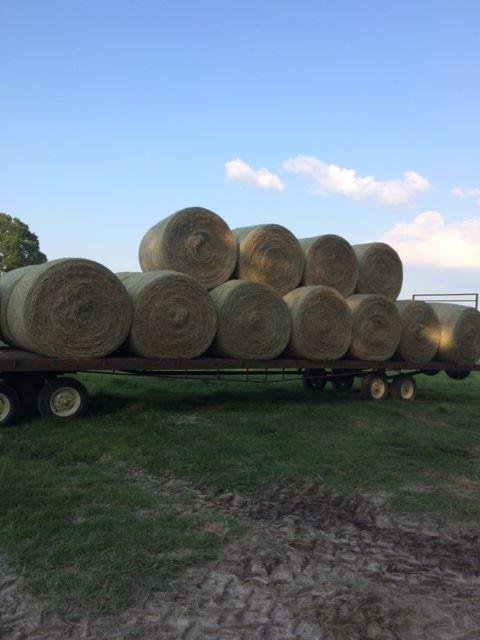 Donald ( OES CFT Operator ) Breaux's album, Timeline Photos