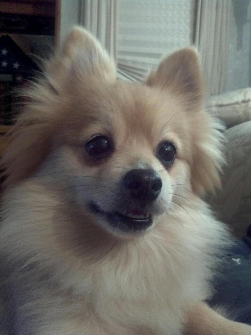 My baby, Cassie
