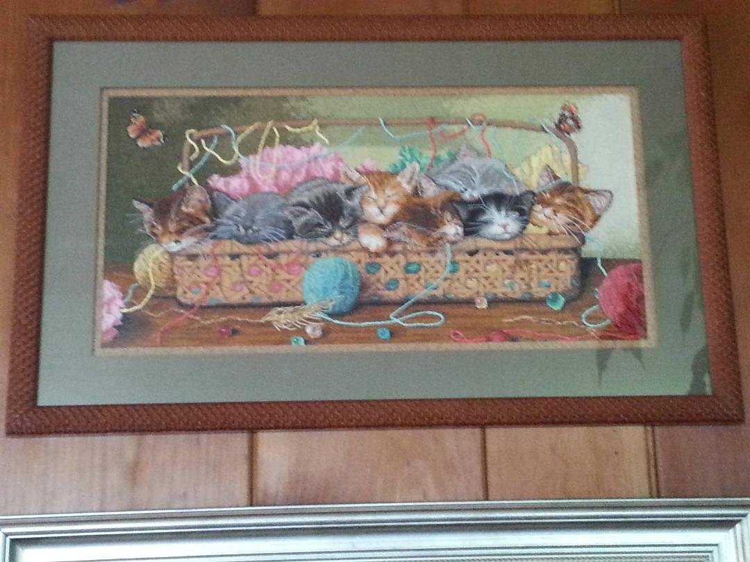 Ready to enter my cross stitch into the Stanwood/Camano Island Fair today. I called it "Kitty Litter".