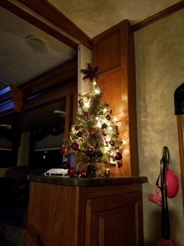 Christmas in the rv...