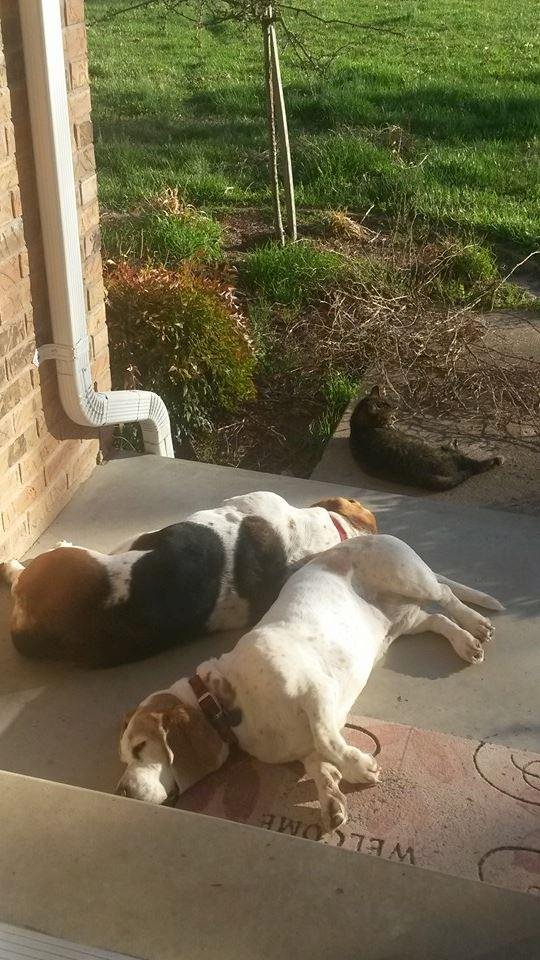 My youngins enjoying the sun and nice weather.