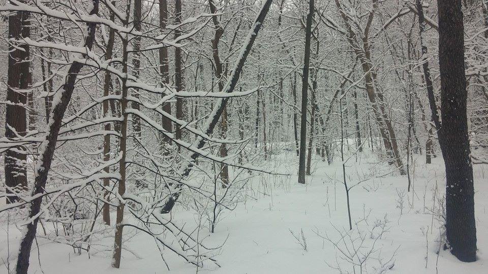 Mike Miller's album, Mobile Uploads