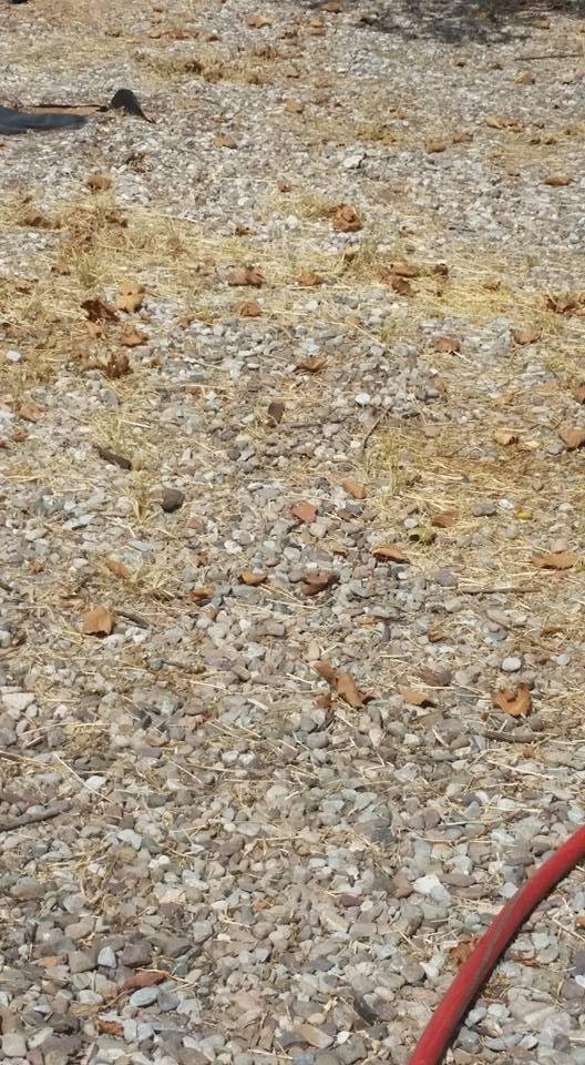 It started with the removal of about 4" of rock and gravel, plus an old dead piracantha stump that had to be burned out.