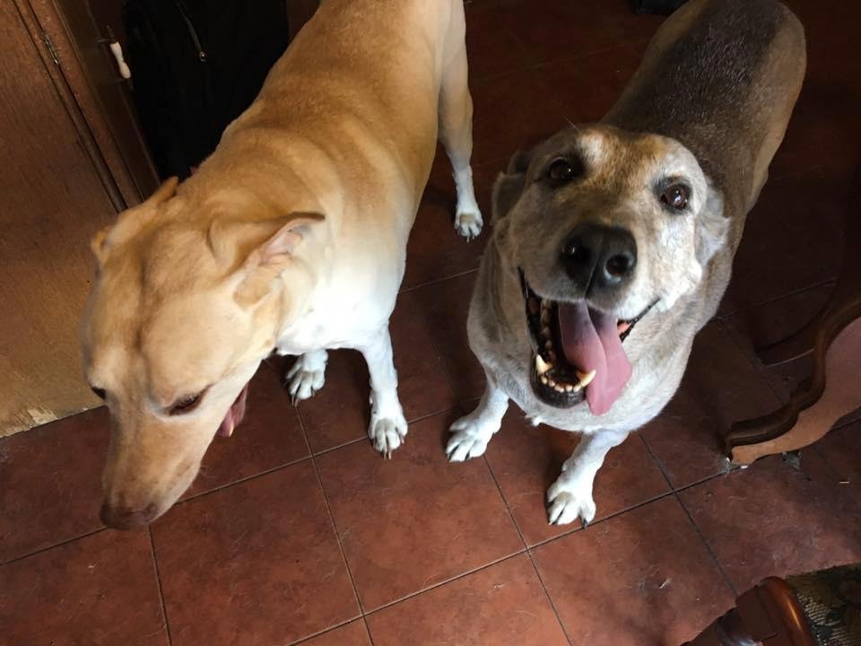 Happy Valentines Day. These are my valentines.