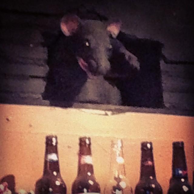 Hillsdale Tavern has an infestation problem.