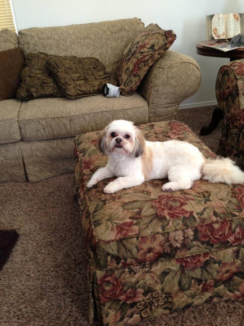 Last but not least Lola