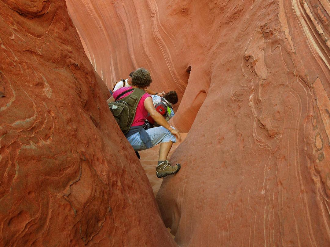 Leonard Knott's album, A Bunch of Other Scenic Wonders We've Encountered Along The Way