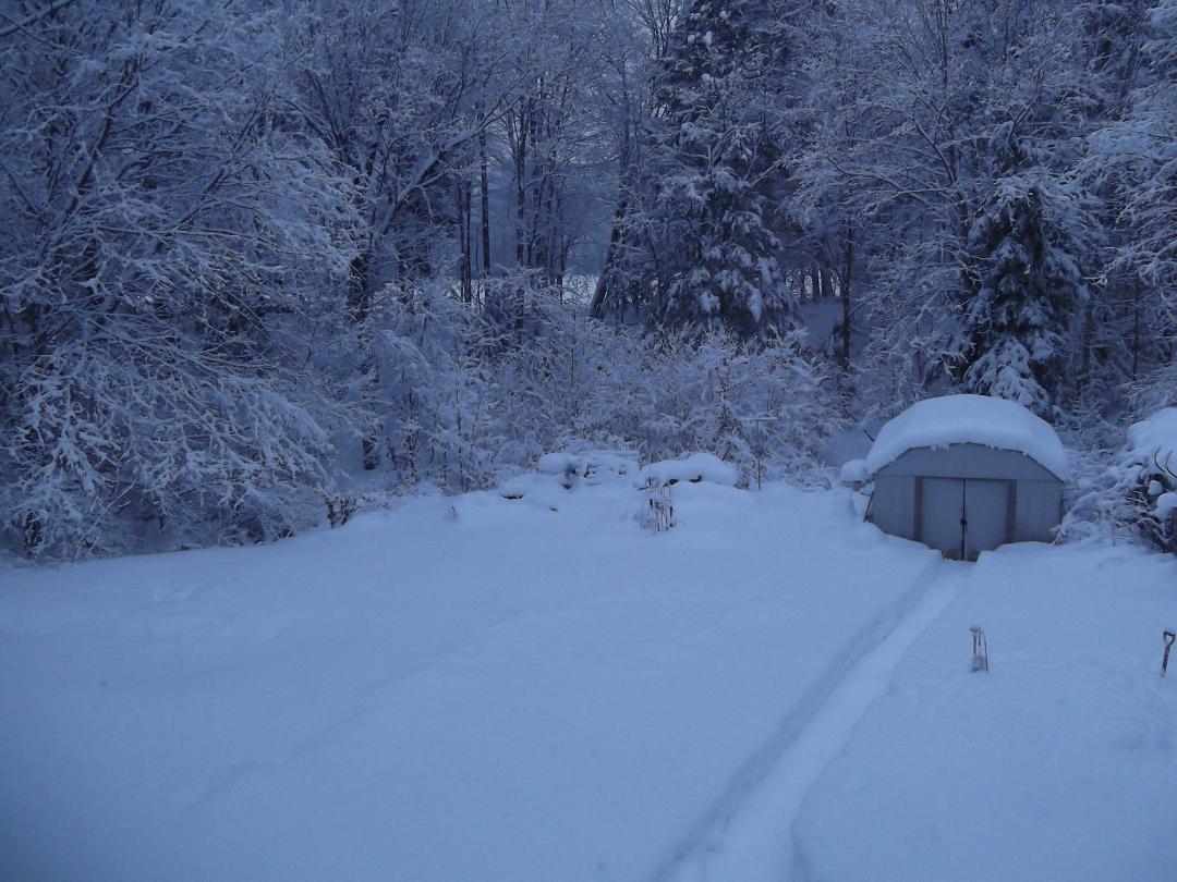 Bob McVicker's album, Photos