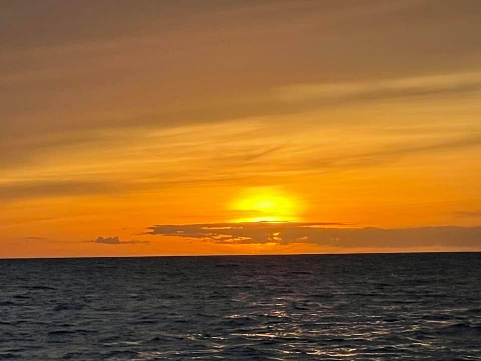 Michael Harmon's album, Mobile uploads