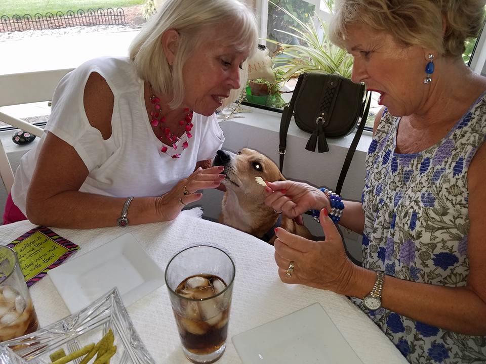 Barbara Glaeser 's album, Mobile uploads