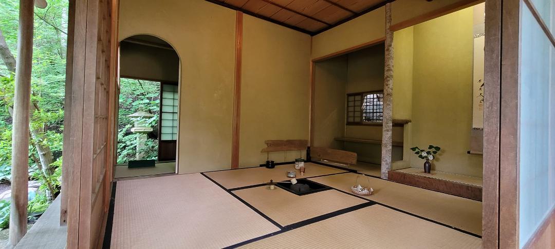 June A. Libby Rhodes' album, Mobile uploads