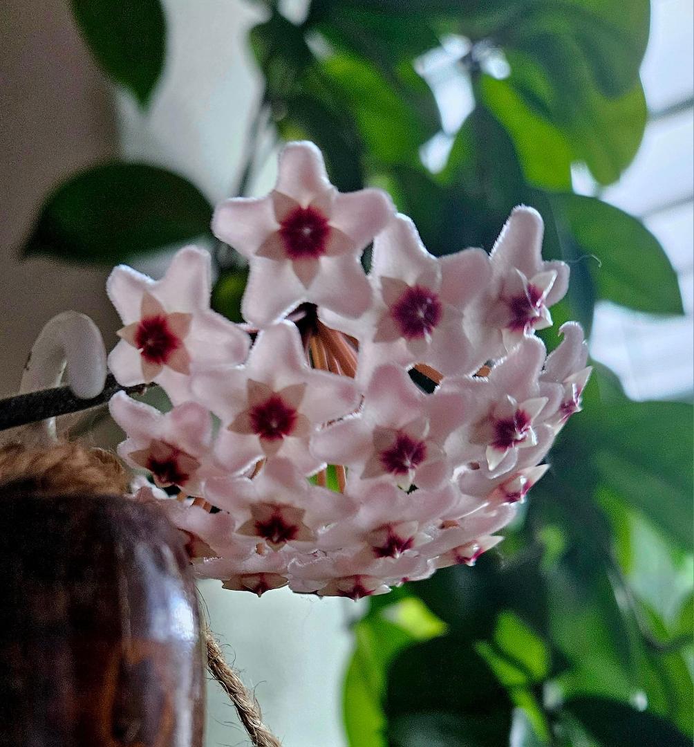 Debra Olson's album, Photos