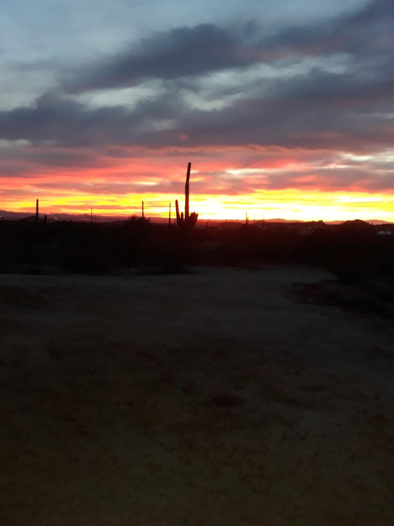 Good Morning from in front of our AZ home