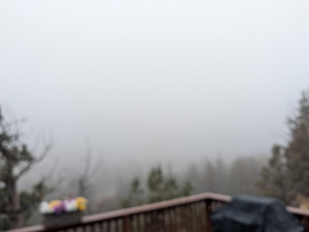 Second of fog and 27 degrees. Hope we aren't going to have another 12 days of freezing fog!