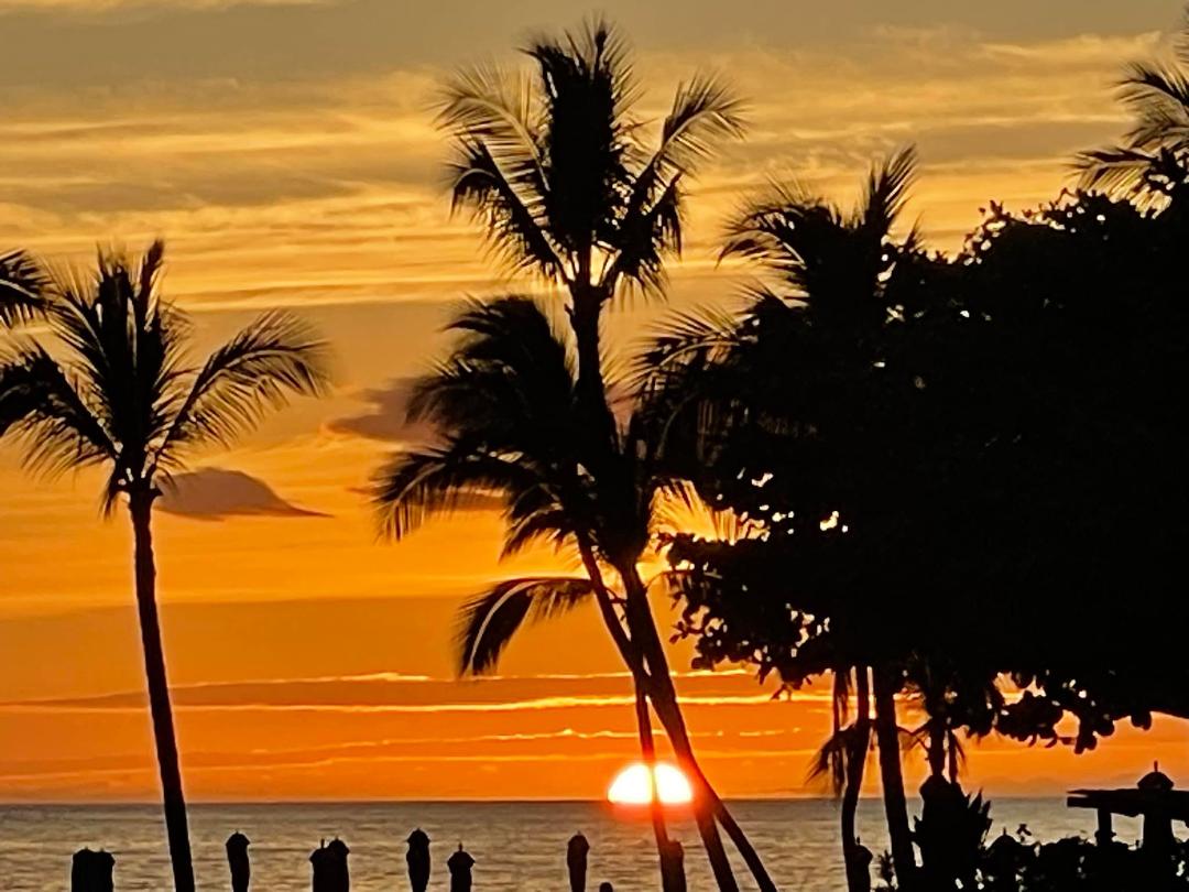 Michael Harmon's album, Mobile uploads