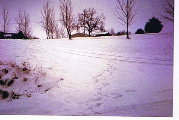 Bob Grace's album, Photos