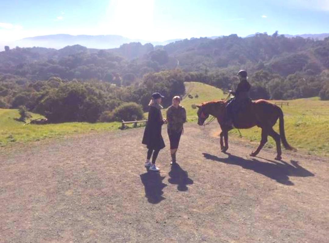 Hiking at Fremont Older park in Cupertino