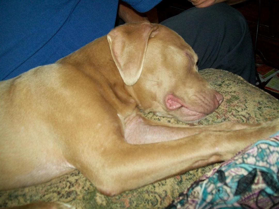 Carol Swindler's album, Photos