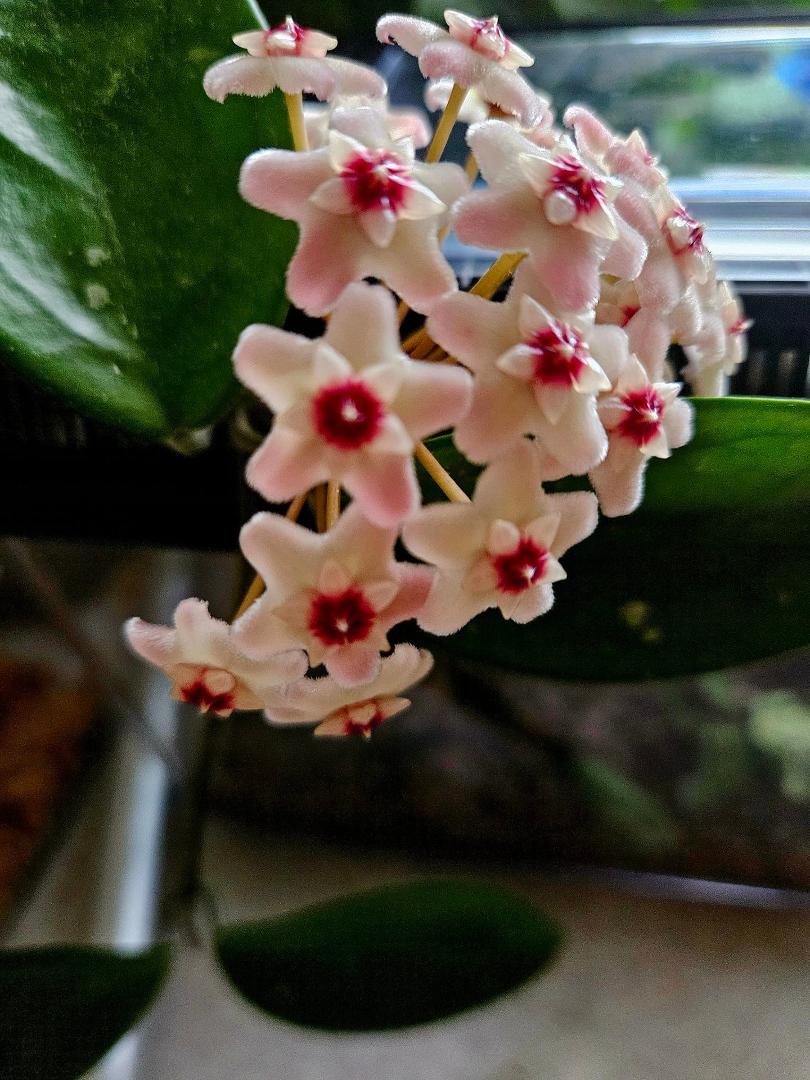 Debra Olson's album, Photos