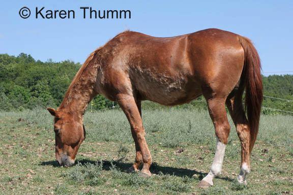 Karen Thumm's album, Photos