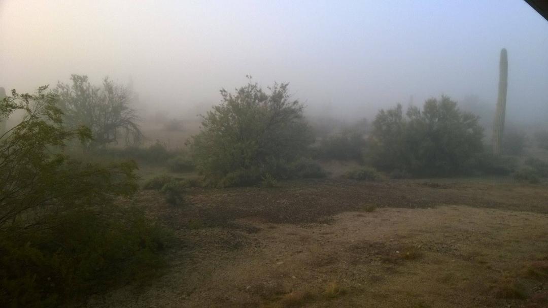 foggy day in Arizona !