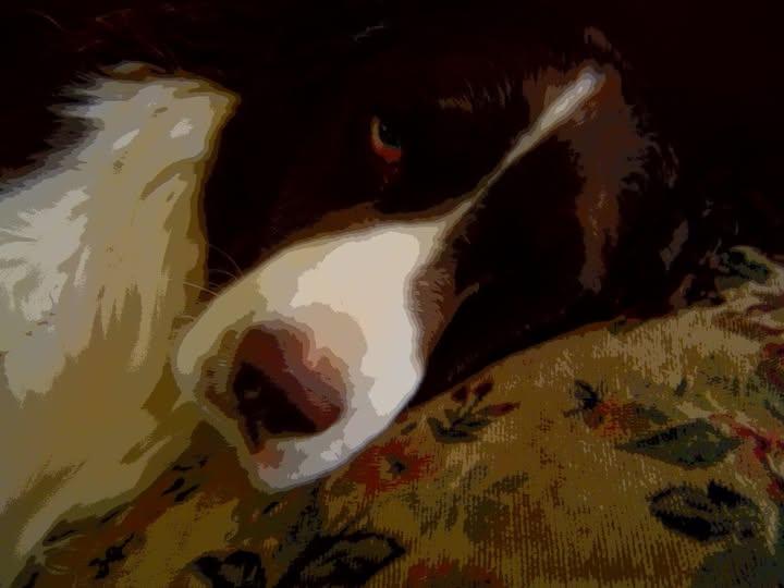 Joseph Trick's album, Photos