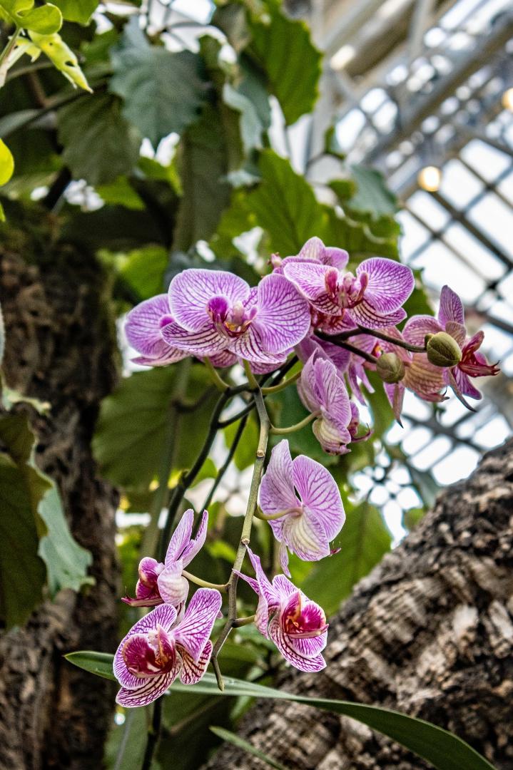 John Kotovsky's album, Photos