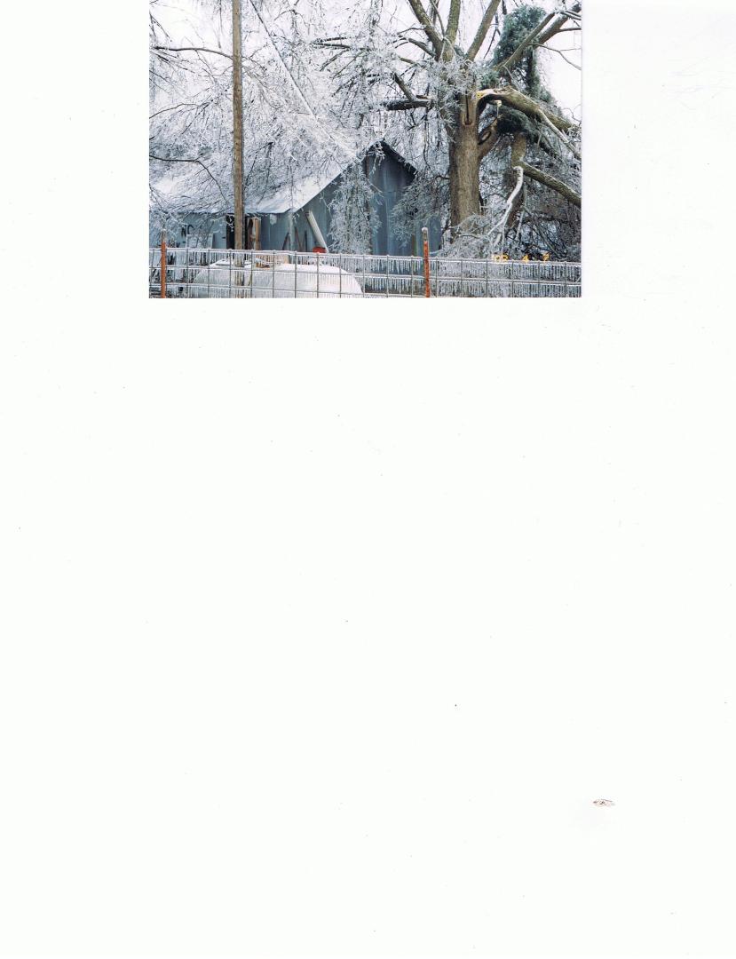 Bob Grace's album, Photos