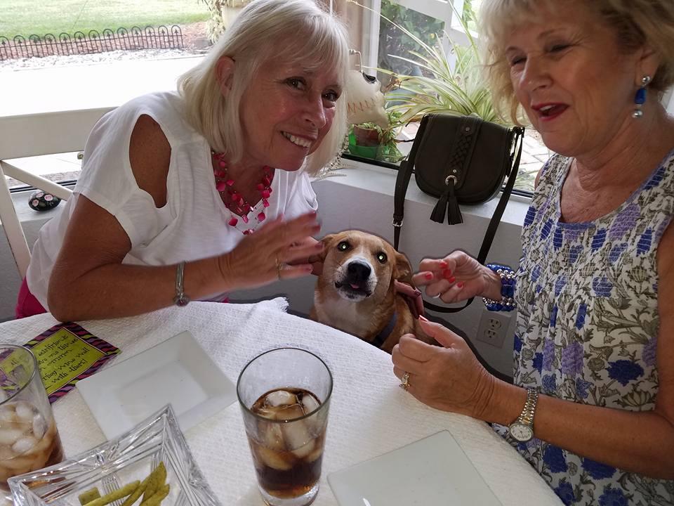 Barbara Glaeser 's album, Mobile uploads